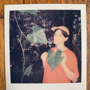 网站黄免费在线观看
