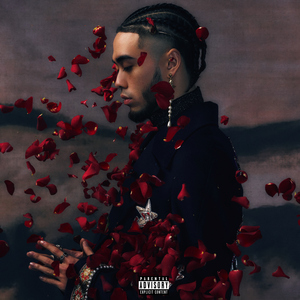 爱爱视频天天干
