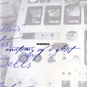 男女色色外国视频
