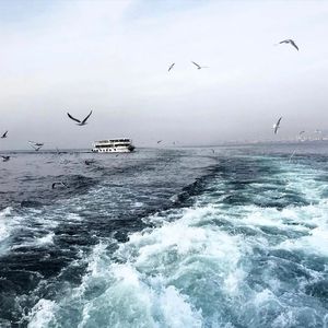 免费黄片高潮AAA的视频
