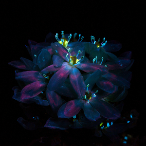 黄色三级电影片
