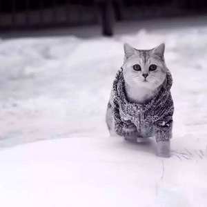 女的被❌到爽羞羞jk视频
